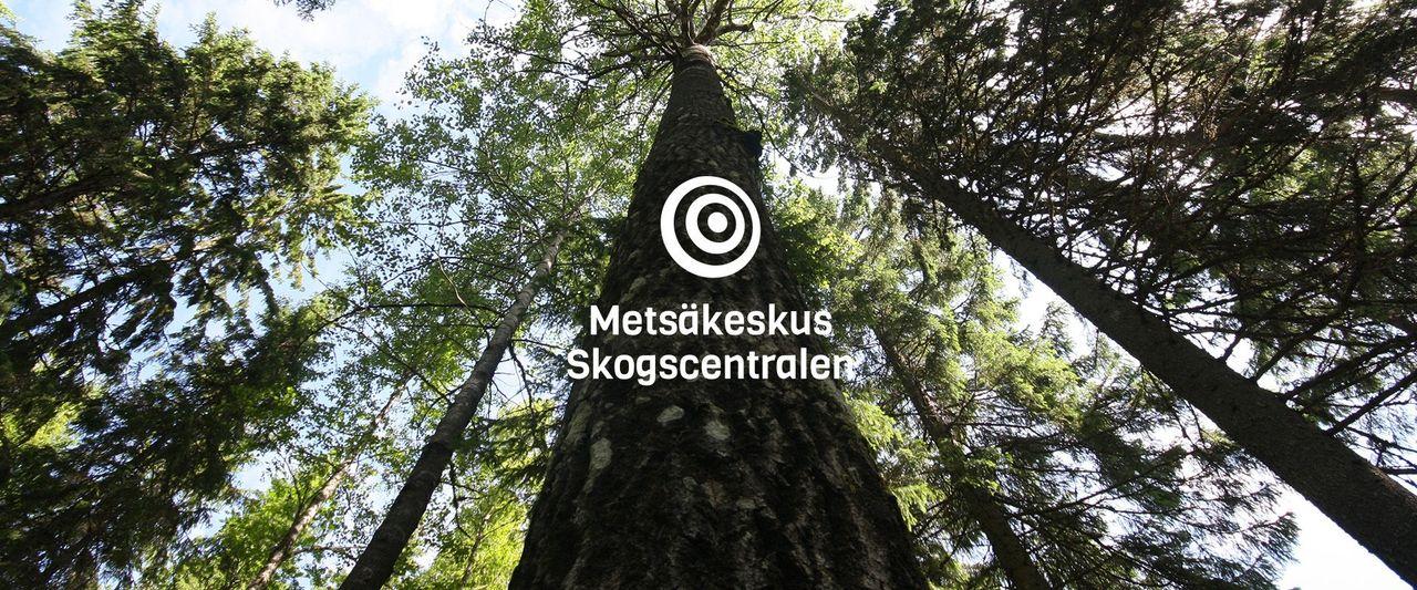 Metsäkeskus