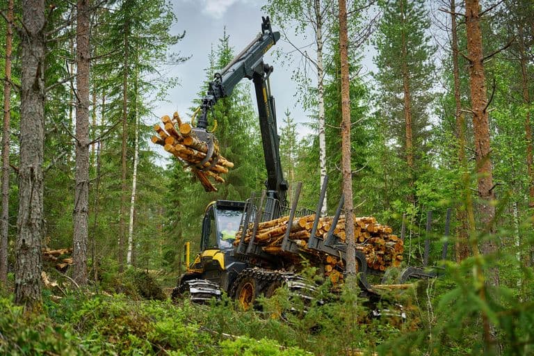 Buffalo metsäkone