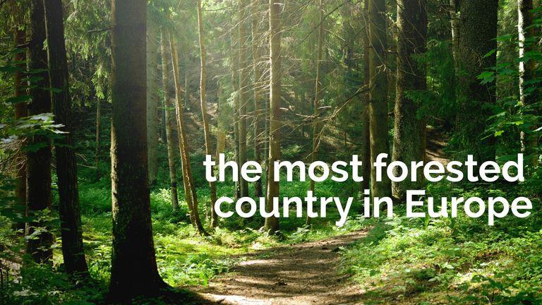 the most forested country in Europe