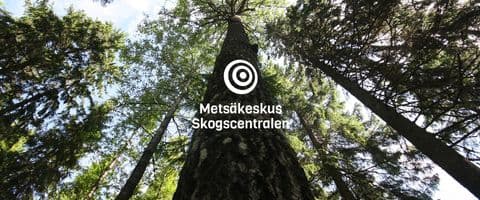 Metsäkeskus