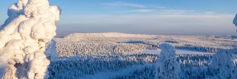 Waiter/Waitress, seasons 2026-2027, Northern Finland, Lapland Hotels image