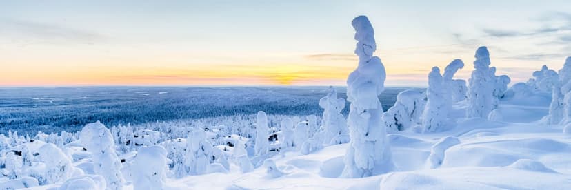Chef, Lapland Hotels Olos, Muonio image