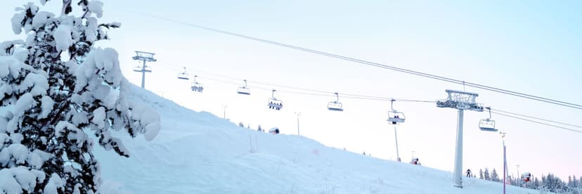 Myyjä, Napapiirin Lahja Oy, Rovaniemen lentoasema, talvisesonki 2026-2027 image
