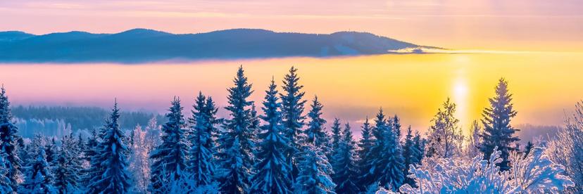 Kassatarjoilija, Loft Cafe, Rovaniemi image