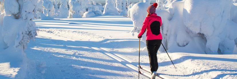 Kokki, Ruka Safaris, Kuusamo image