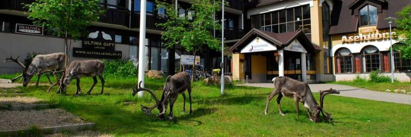 Vastaanottovirkailija, Lapland Hotels Riekonlinna, Saariselkä image