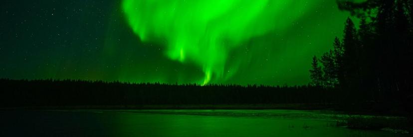 Ravintolakokki, Aurora Queen Resort, Saariselkä, Inari image