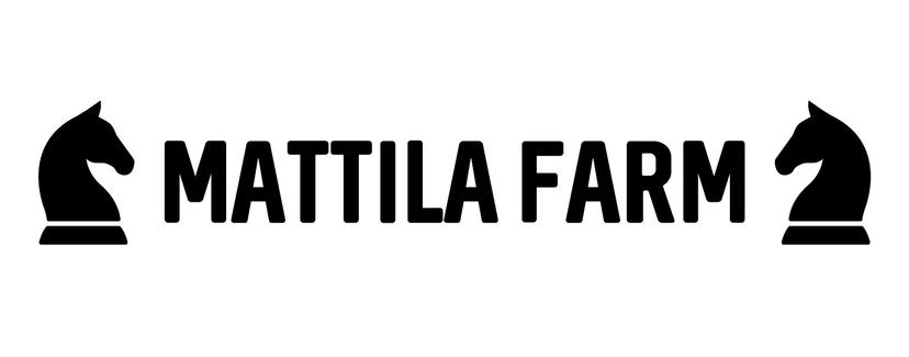 Pizzakokki Rajamäelle logo